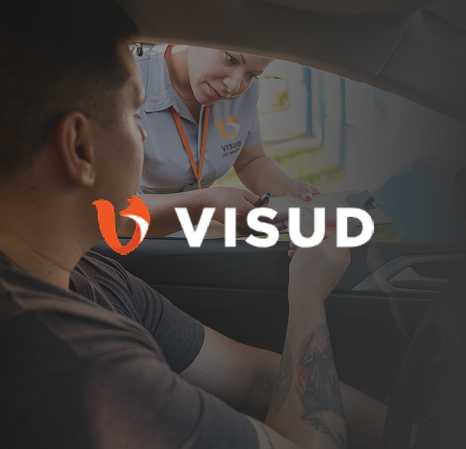visud