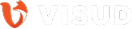 Visud logo